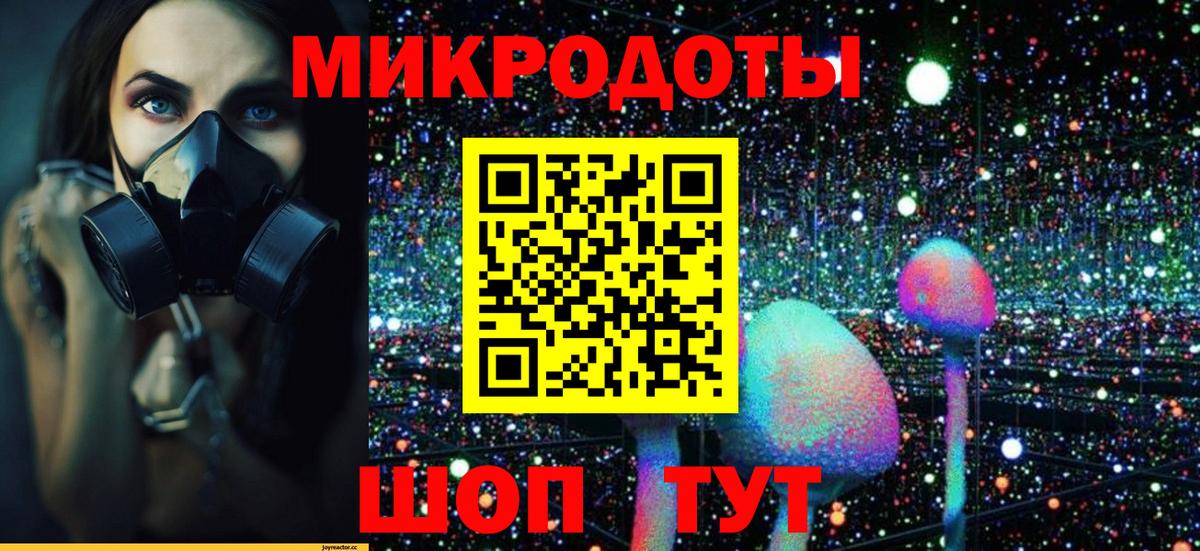 Кохма  Псилоцибиновые грибы Psilocybine cubensis  Вход с VPN  Псилоцибиновые грибы Psilocybine cubensis 