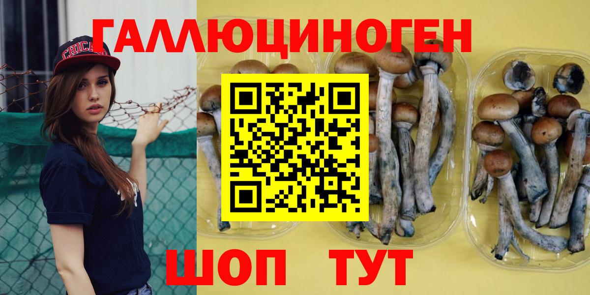 Галлюциногенные грибы прущие грибы Кохма