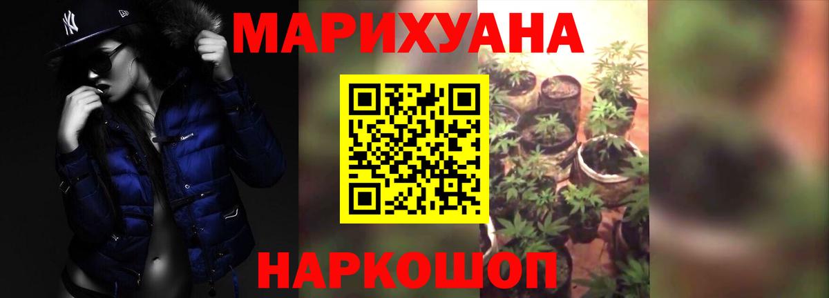 Конопля планчик Кохма